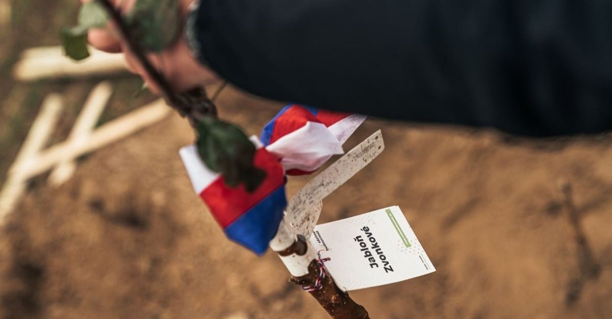 Sázíme budoucnost s Nadací Partnerství